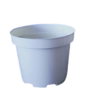 گلدان مدل پاچیرا