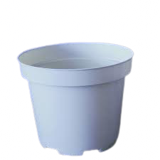 گلدان مدل پاچیرا