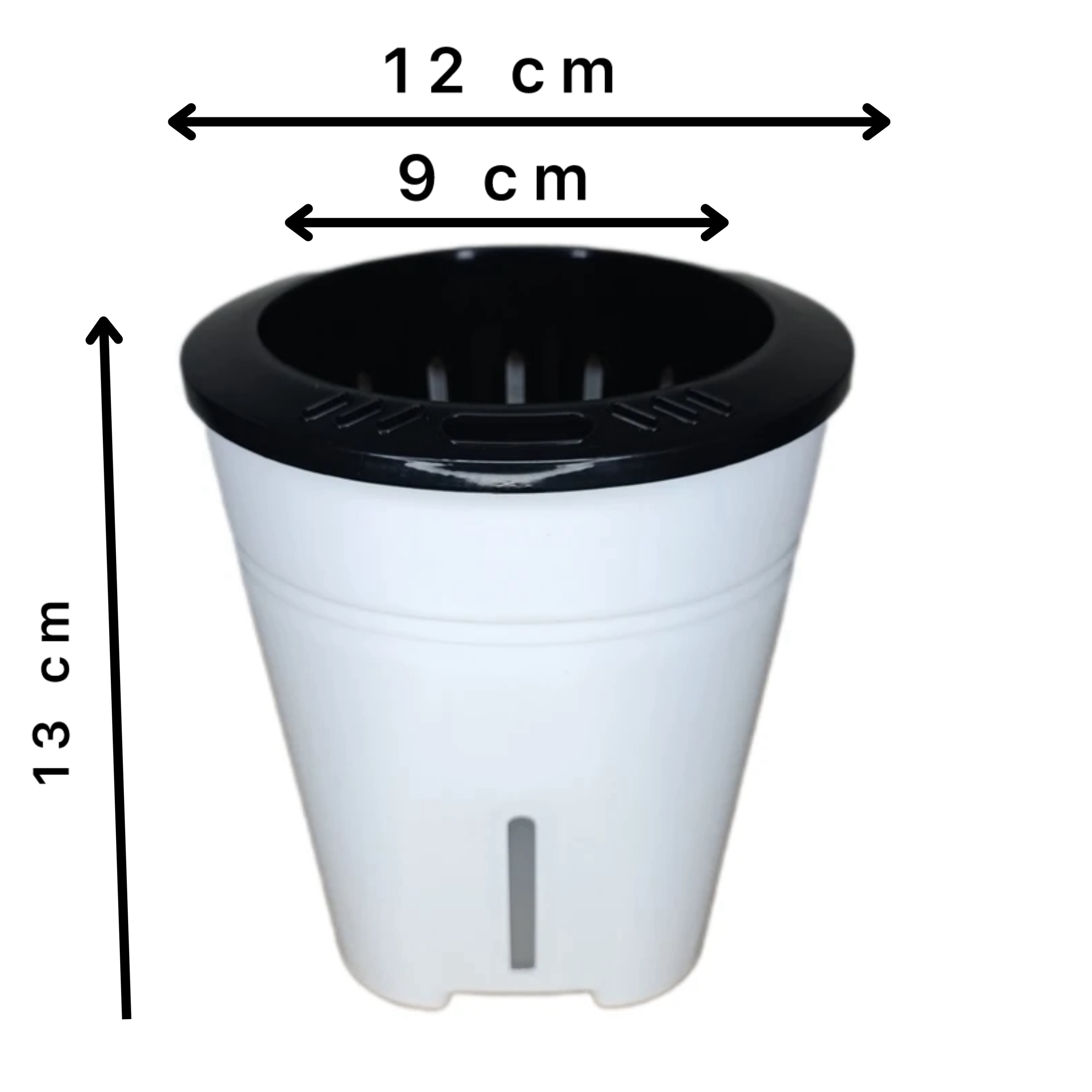 گلدان هیدروپونیک