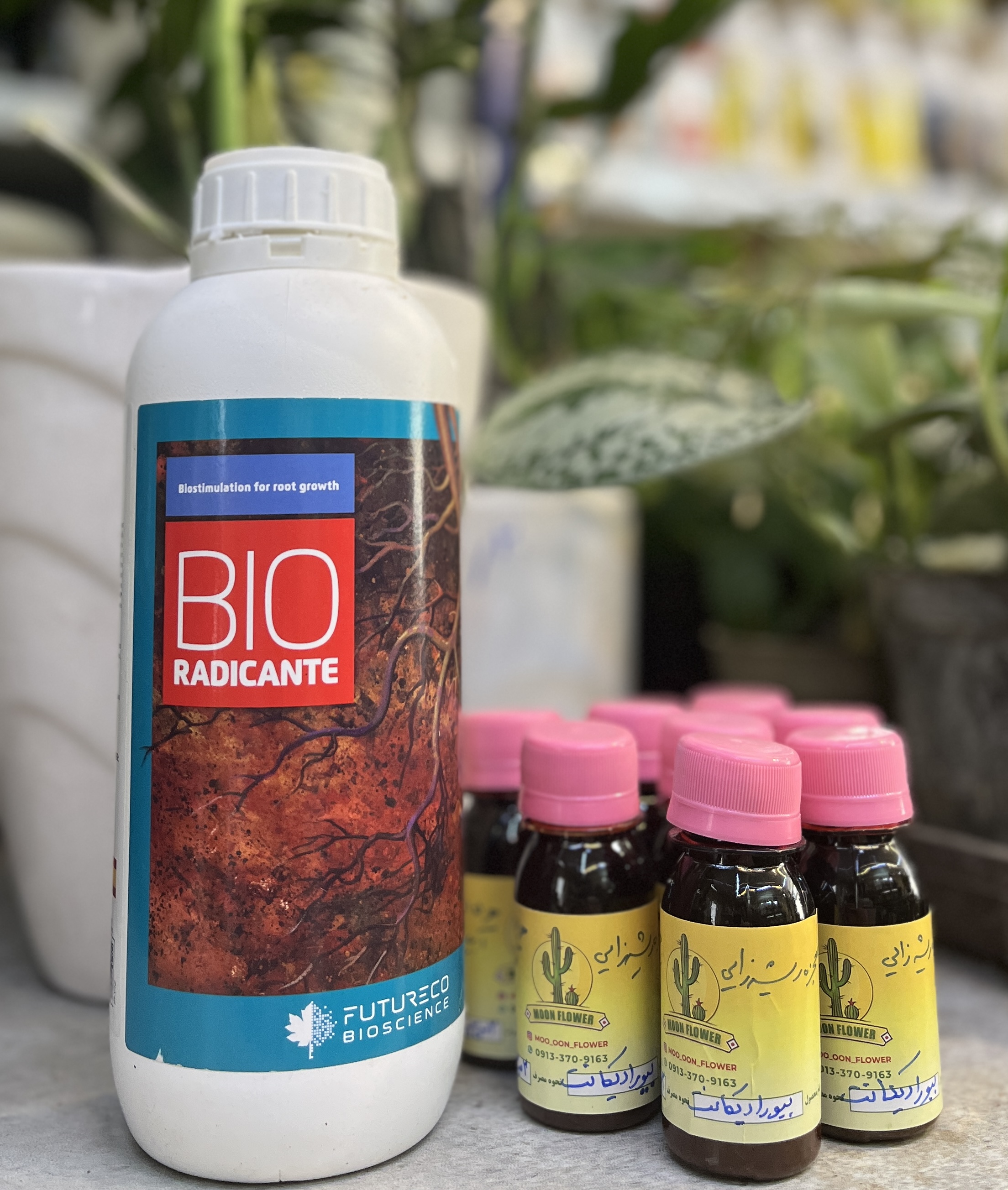 مایع ریشه زای بیورادیکانت اسپانیا